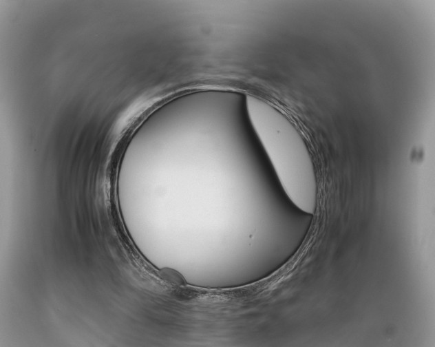 X0000089670294200706210759