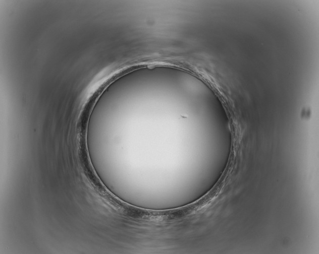 X0000089670295200706210759