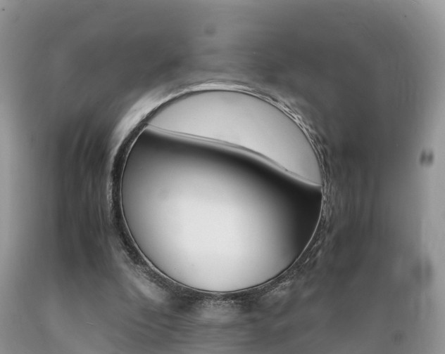 X0000089670296200706210759