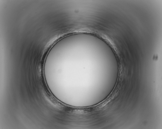 X0000089670298200706210759