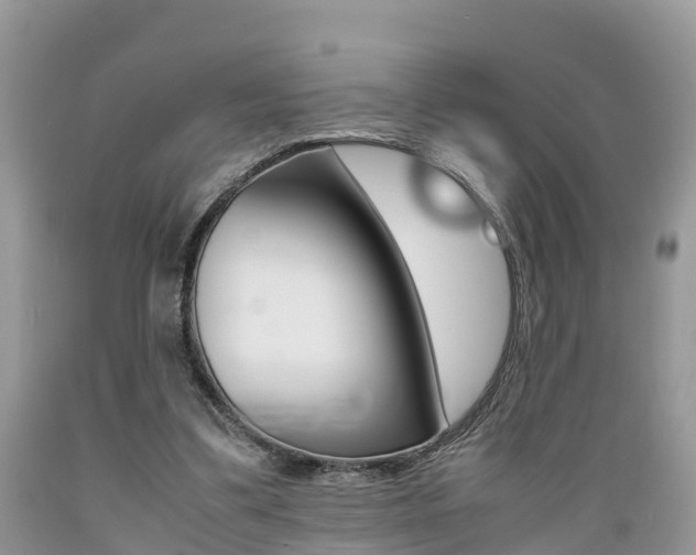 X0000089670299200706210759