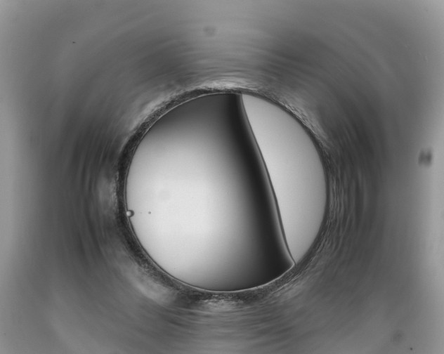 X0000089670300200706210759