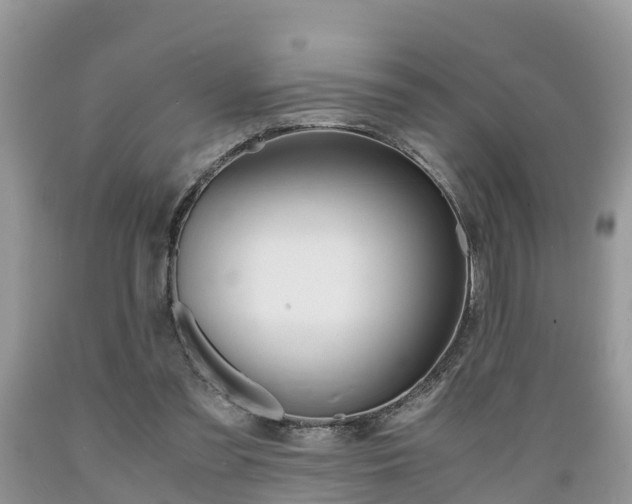 X0000089670301200706210759