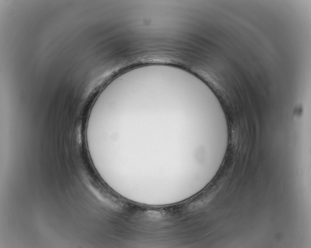 X0000089670302200706210759