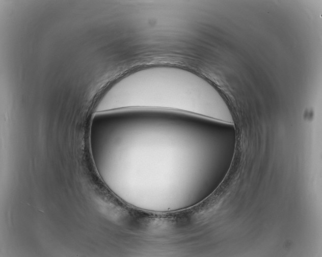 X0000089670303200706210759