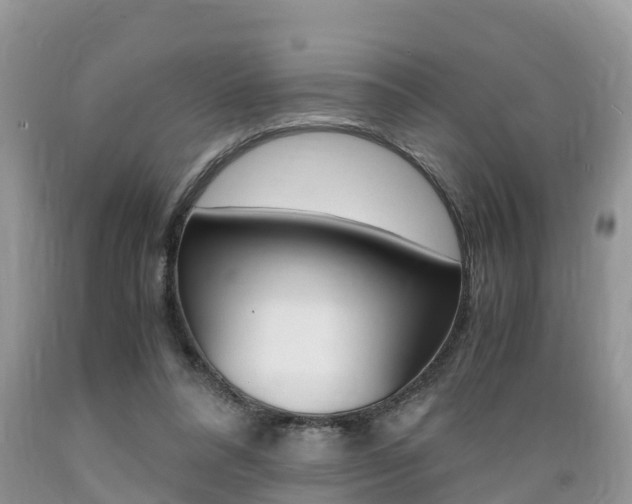 X0000089670304200706210759