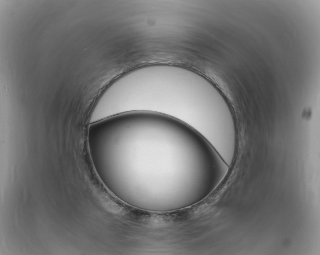 X0000089670305200706210759