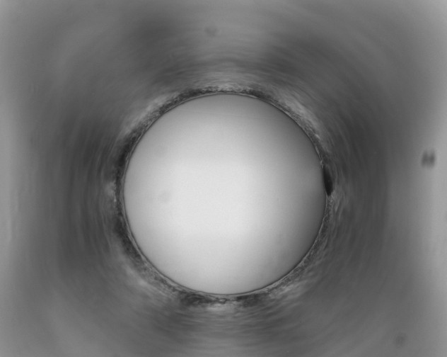 X0000089670306200706210759