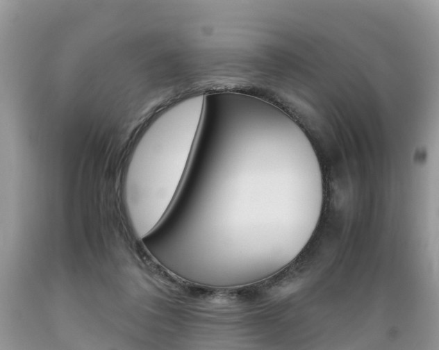 X0000089670308200706210759