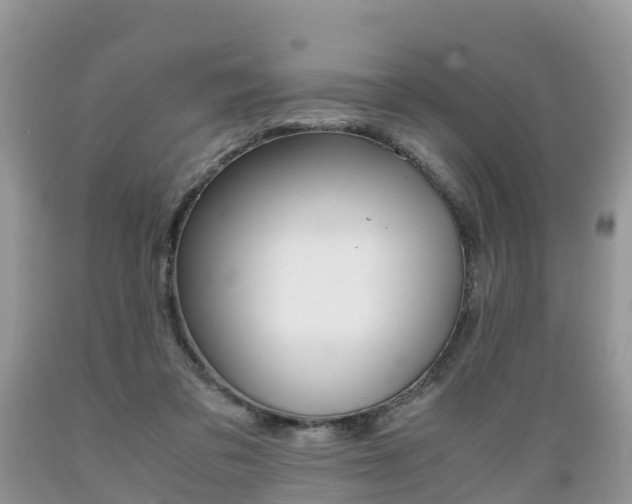 X0000089670309200706210759
