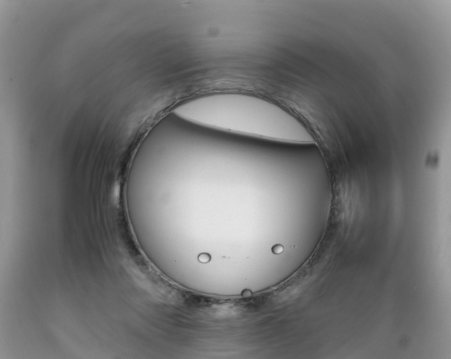 X0000089670310200706210759