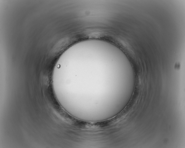 X0000089670311200706210759