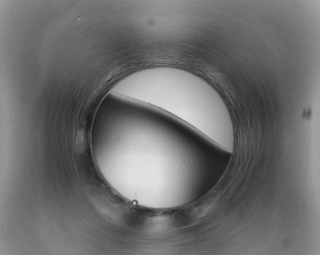 X0000089670312200706210759