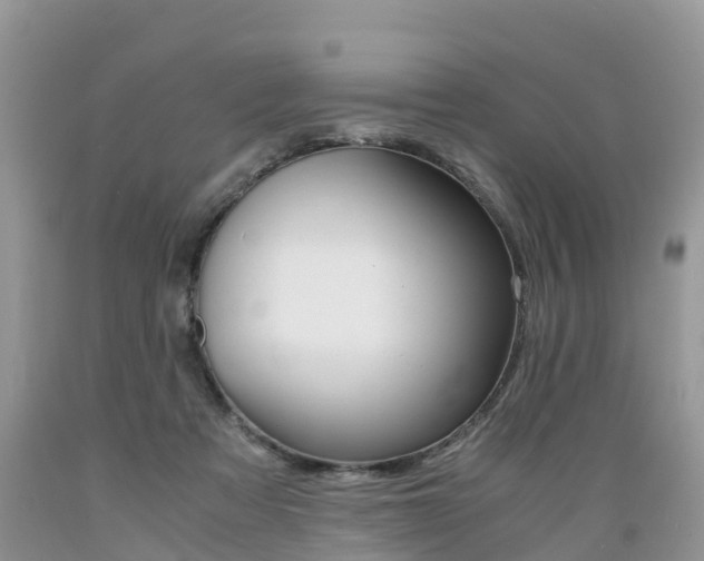 X0000089670313200706210759