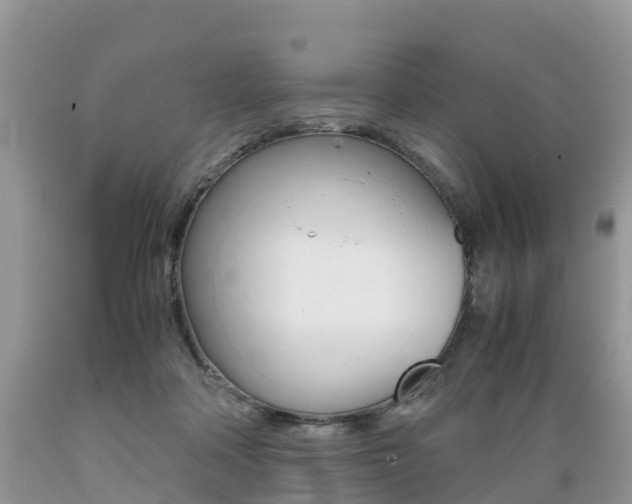 X0000089670314200706210759