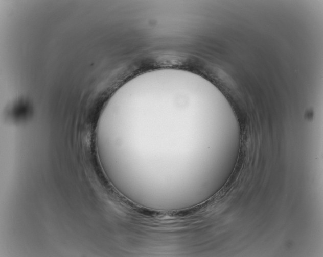 X0000089670315200706210759