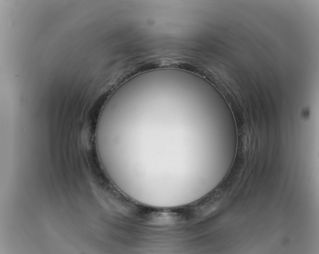 X0000089670316200706210759