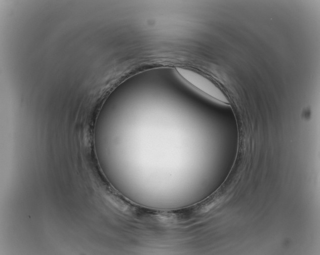 X0000089670317200706210759