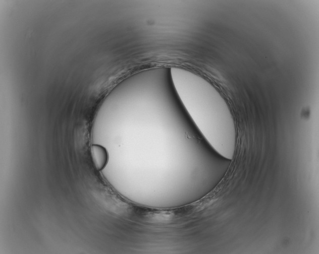 X0000089670318200706210759