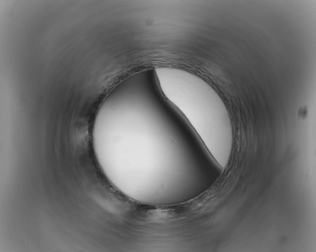 X0000089670320200706210759