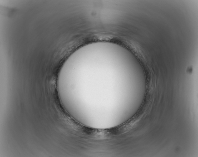 X0000089670321200706210759