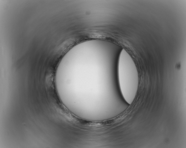 X0000089670322200706210759