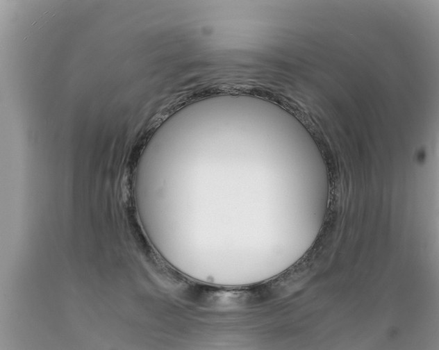 X0000089670323200706210759