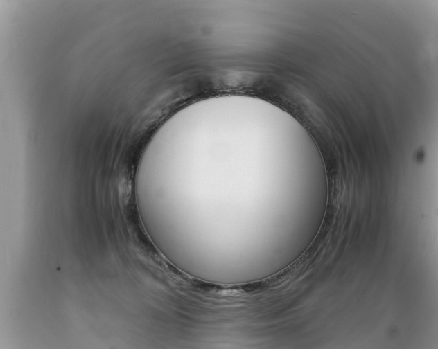 X0000089670324200706210758