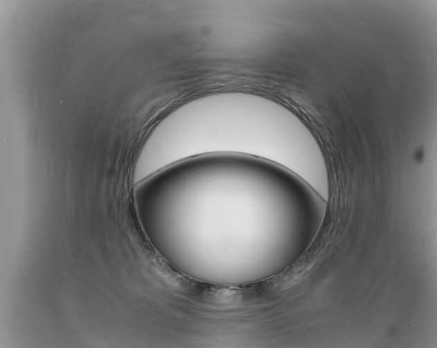 X0000089670325200706210758