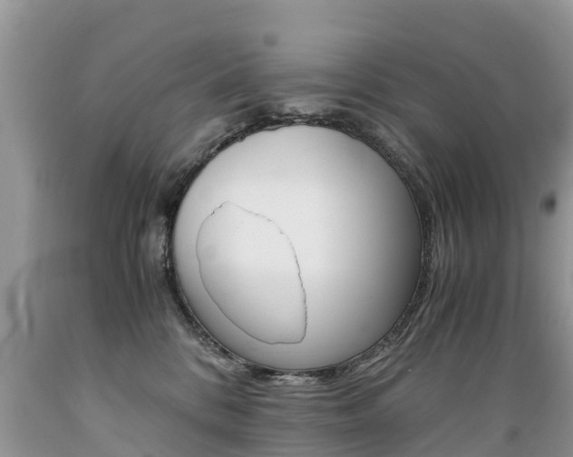 X0000089670328200706210758