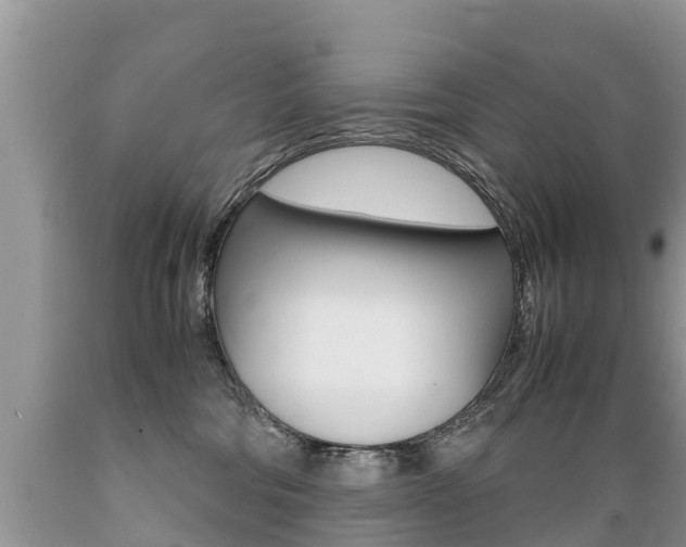 X0000089670330200706210758