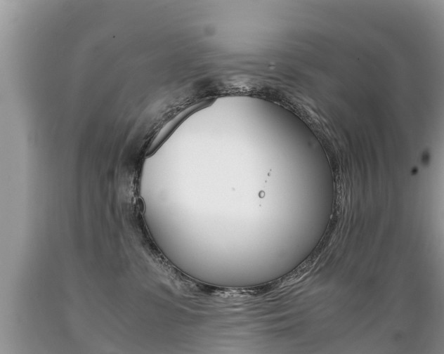 X0000089670331200706210758