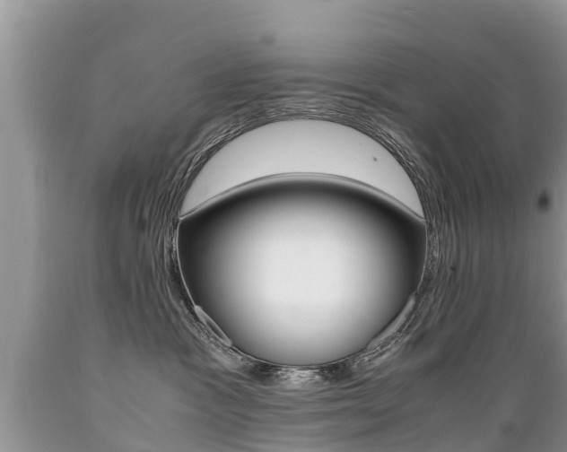 X0000089670333200706210758