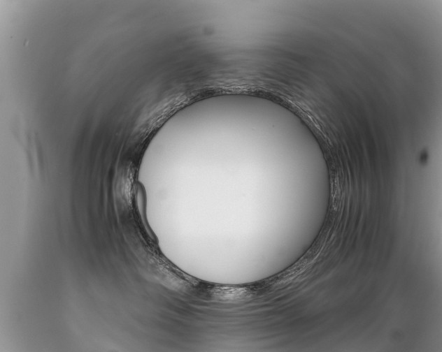 X0000089670334200706210758