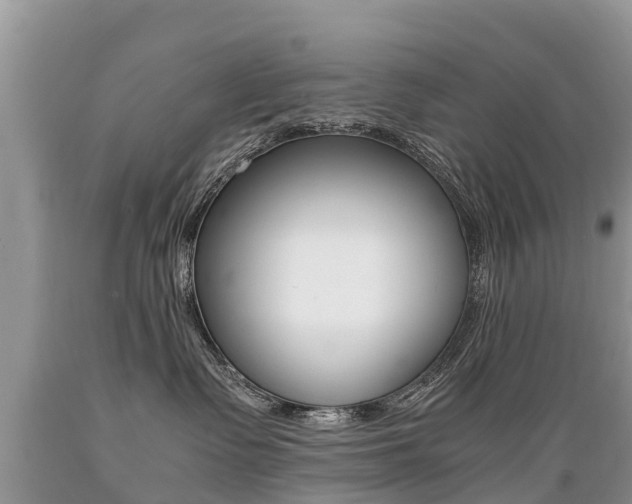 X0000089670335200706210758