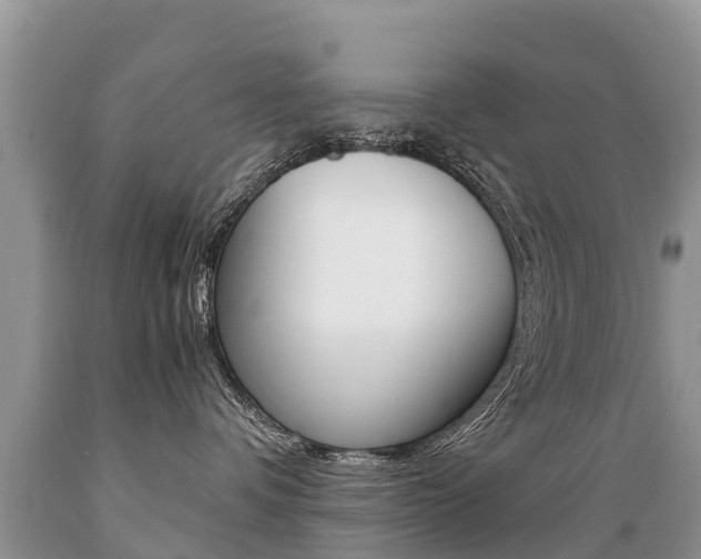 X0000089670336200706210758