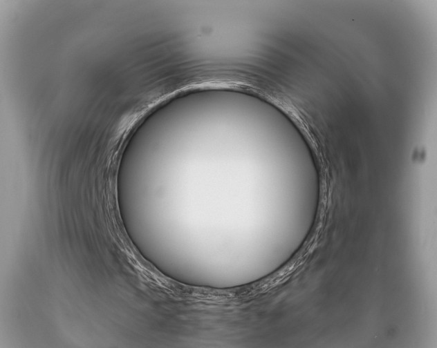 X0000089670337200706210758