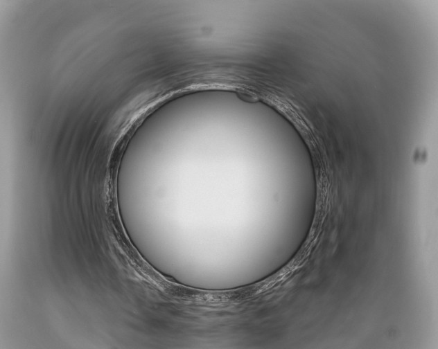 X0000089670338200706210758