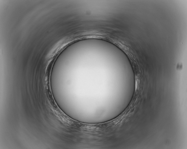 X0000089670339200706210758
