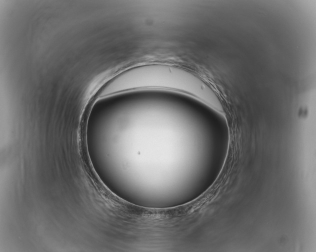 X0000089670340200706210758