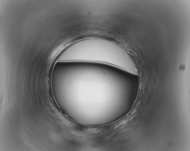 X0000089670341200706210758