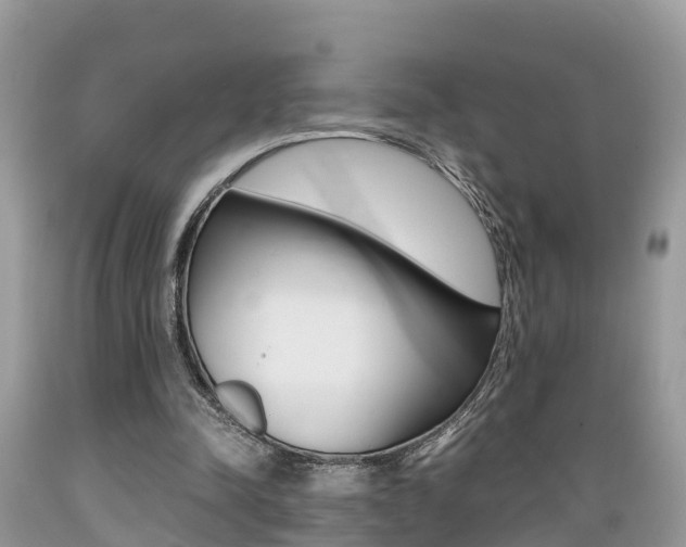 X0000089670342200706210758