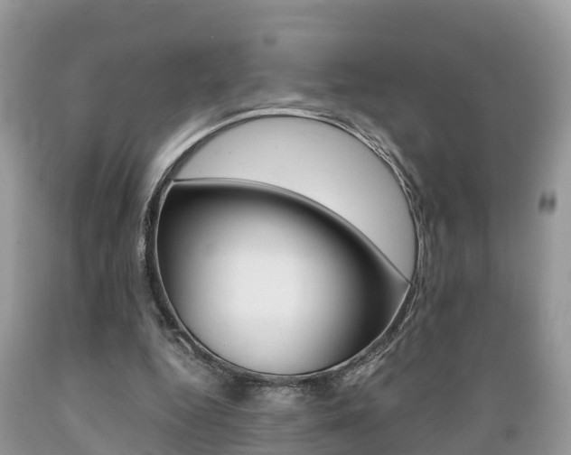 X0000089670344200706210758