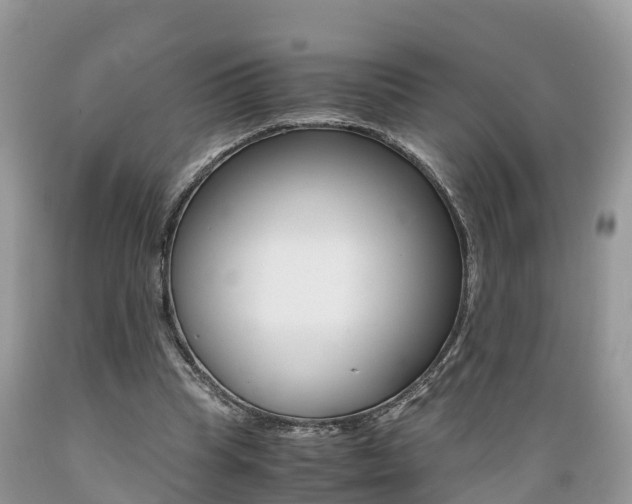 X0000089670345200706210758