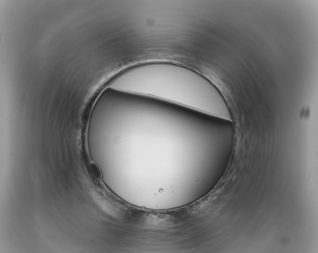 X0000089670346200706210758