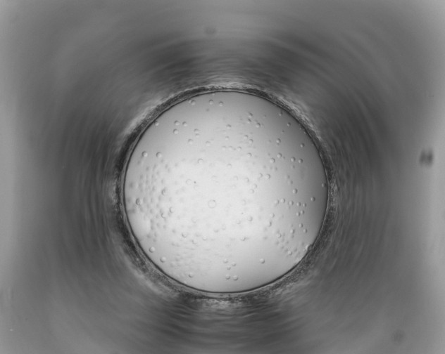 X0000089670347200706210758