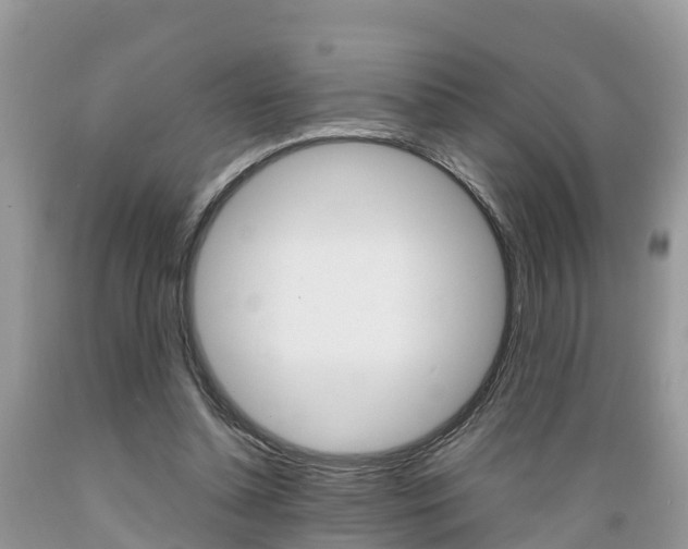 X0000089670348200706210758