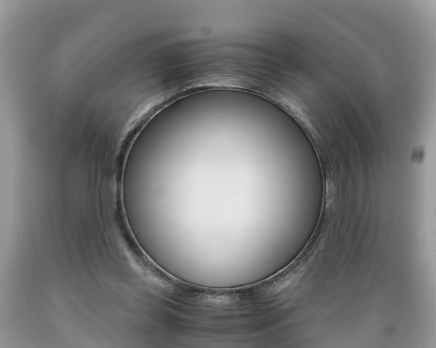 X0000089670349200706210758