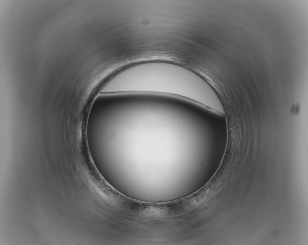 X0000089670350200706210758