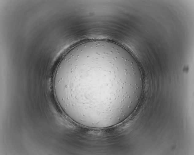 X0000089670351200706210758